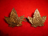 MC27 - The Duke of York's Royal Canadian Hussars Collar Badge Pair